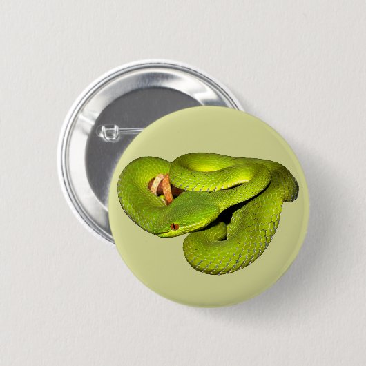 Die weiß-lippige Grubenviper Button (Vorne & Hinten)