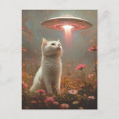 Die weiße Katze und das UFO Postkarte (Vorderseite)