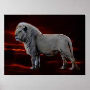 Die weiße Lion Poster