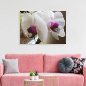 DIE WEISSE ORCHID-Leinwand Leinwanddruck (Insitu (Wohnzimmer))