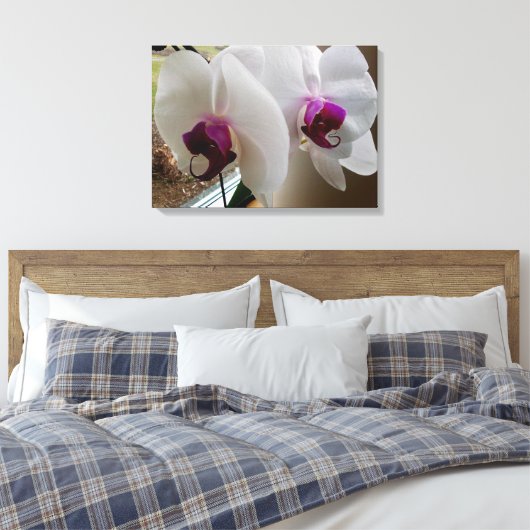 DIE WEISSE ORCHID-Leinwand Leinwanddruck (Insitu (Schlafzimmer))