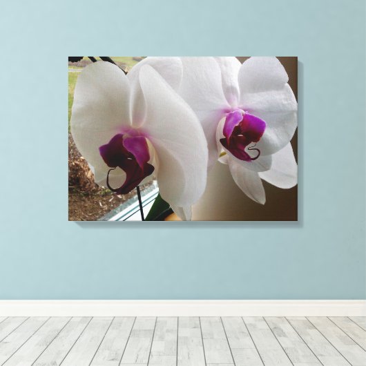 DIE WEISSE ORCHID-Leinwand Leinwanddruck (Insitu (Holzboden))