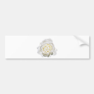 Die weiße Rose der Liebe_ Autoaufkleber
