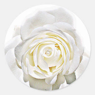Die weiße Rose der Liebe_ Runder Aufkleber
