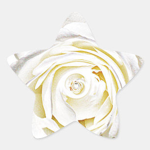 Die weiße Rose der Liebe_ Stern-Aufkleber