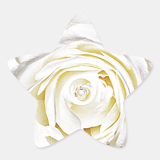Die weiße Rose der Liebe_ Stern-Aufkleber (Vorderseite)