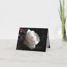 Die weiße Rose Karte