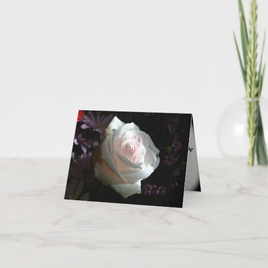 Die weiße Rose Karte (Vorderseite)