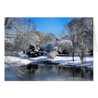 Die weiße Welt spricht ohne Klang.