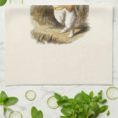 Die weißen Kaninchen-Geschirrtücher Geschirrtuch (Gefaltet)