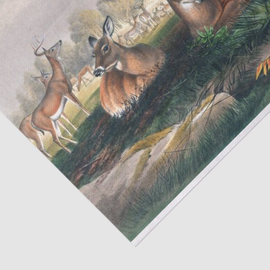 Die Weißen von Joseph Wolf Seidenpapier (Ausschnitt)