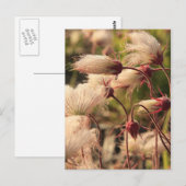 Die Welle Postkarte (Vorne/Hinten)