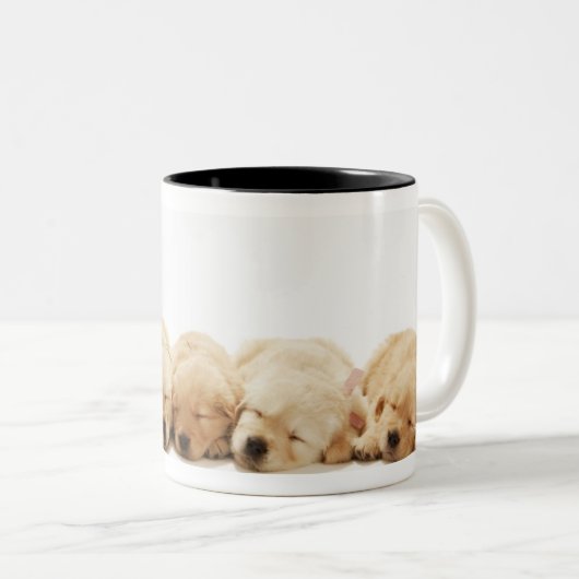 Die Welpen des golden retriever Zweifarbige Tasse (VorderseiteRechts)