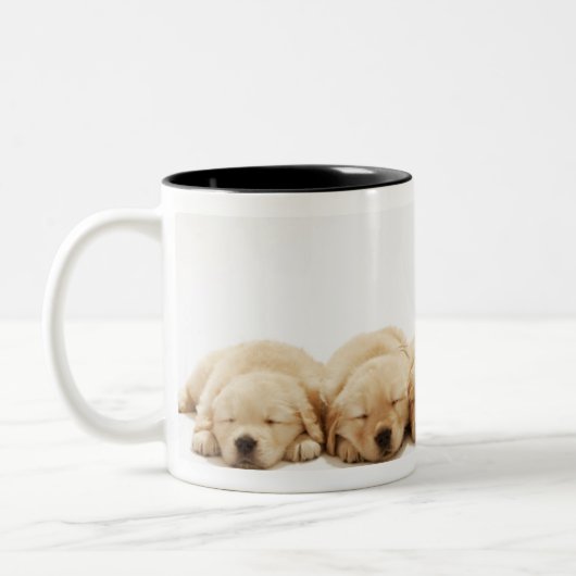 Die Welpen des golden retriever Zweifarbige Tasse (Links)