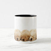 Die Welpen des golden retriever Zweifarbige Tasse (Mittel)