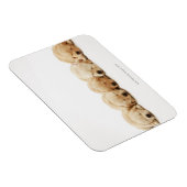 Die Welpen des Goldenen Retriever Magnet (Rechte Seite)