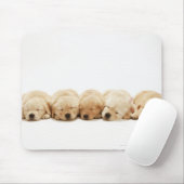 Die Welpen des Goldenen Retriever Mousepad (Mit Mouse)