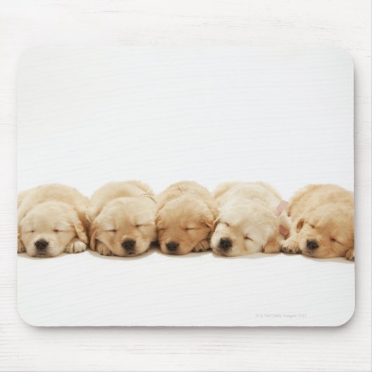 Die Welpen des Goldenen Retriever Mousepad (Vorne)