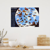 " Die Welt: 1987 Pinniped um die Welt ... Poster (Küche)