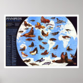 " Die Welt: 1987 Pinniped um die Welt ... Poster (Vorne)