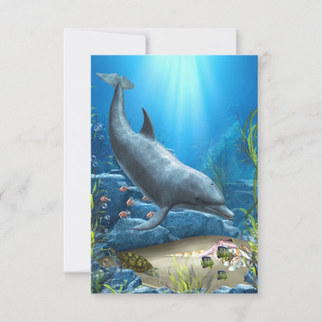 Die Welt der Dolphin (Vorderseite)