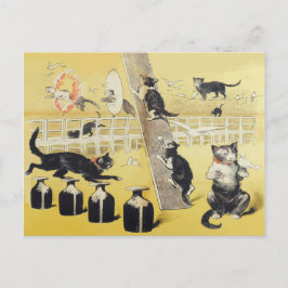 Die Welt der Katze Postkarte