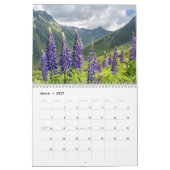 Die Welt der Lupinen Kalender (Mär 2027)