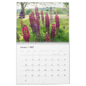 Die Welt der Lupinen Kalender (Jan 2027)