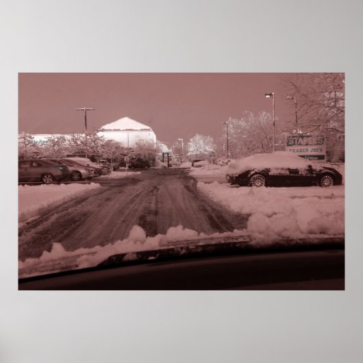 die Welt durch die Rose farbige Brillen sehen Poster (Vorne)