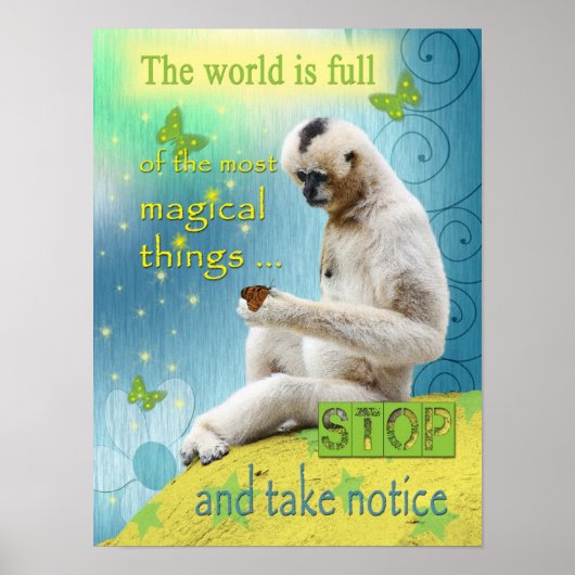 Die Welt ist voller Magie Poster (Vorne)