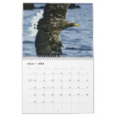 Die Welt von Eagles 2017 Kalender (Mär 2026)