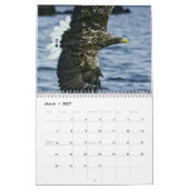 Die Welt von Eagles 2017 Kalender (Mär 2027)