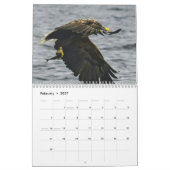 Die Welt von Eagles 2017 Kalender (Feb 2027)