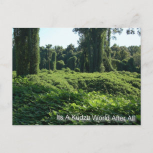 Die Welt von Kudzu Postkarte