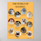 Die Welt von Ragdoll, druckbar A3 oder kleiner Poster (Vorne)