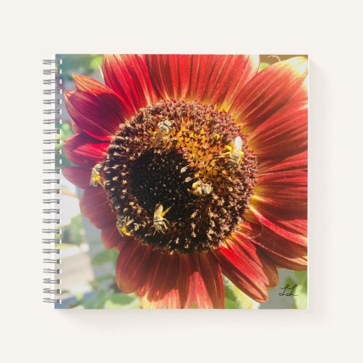 Die Welt zu einem besseren Ort machen Notizblock (Vorderseite)