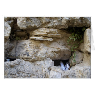 Die Western-Mauer
