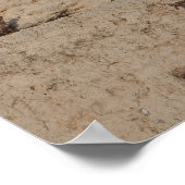 Die Western-Mauer, Jerusalem Poster (Ecke)