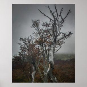 Die Widerstandskraft der Natur: Tierra del Fuego, Poster