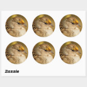 Die Widerstandskraft eines Golden Crown Sparrow Runder Aufkleber (Blatt)