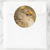 Die Widerstandskraft eines Golden Crown Sparrow Runder Aufkleber (Tasche)