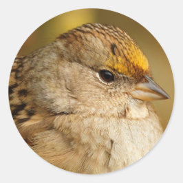 Die Widerstandskraft eines Golden Crown Sparrow Runder Aufkleber