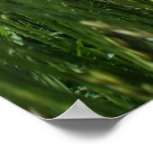 Die Wiese Poster (Ecke)