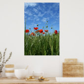 Die Wiese Poster (Küche)