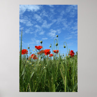 Die Wiese Poster