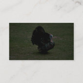 Die wilde Osttürkei Visitenkarte (Rückseite)