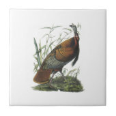 Die wilde Türkei durch Audubon Fliese (Vorderseite)