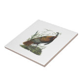 Die wilde Türkei durch Audubon Fliese (Seite)