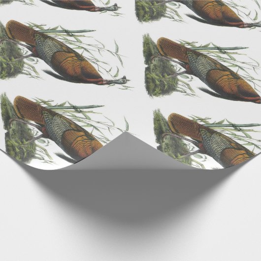 Die wilde Türkei durch Audubon Geschenkpapier (Ecke)