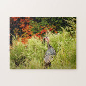 Die wilde Türkei im Herbst im großen Gras Puzzle (Horizontal)
